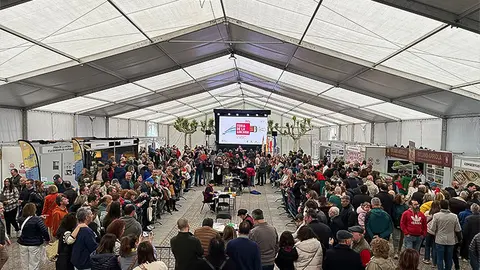 Multitudinaria asistencia de p&uacute;blico a la Feria de la Anchoa del pasado a&ntilde;o