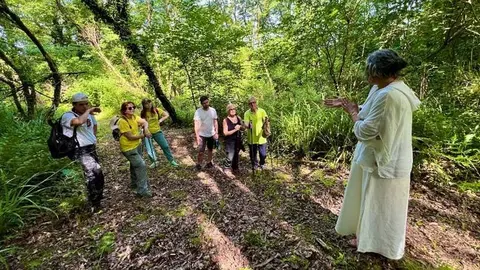 Participantes en una ruta por el entorno del Pozo Tremeo | Foto: Ayuntamiento de Polanco