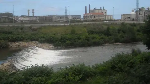 El r&iacute;o Besaya a su paso por Sniace