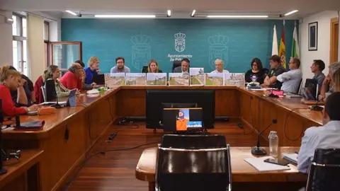 Imagen del Pleno del Ayuntamiento de Pi&eacute;lagos de este mes de junio