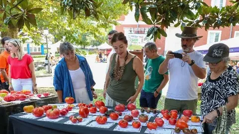 P&uacute;blico asistente a la pasada edici&oacute;n de la Feria Nacional del Tomate Antiguo | Foto: Ayuntamiento