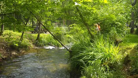 El SERCA retirará los árboles secos o gravemente enfermos de La Viesca y La Pedrosa