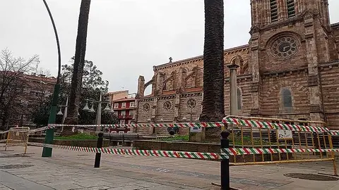 Torrelavega protegerá del picudo rojo 42 ejemplares de palmeras con controles periódicos, podas y tratamientos