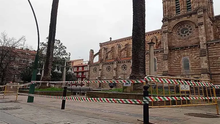 El per&iacute;metro de las dos palmeras de La Asunci&oacute;n se ha vallado para realizar labores de mantenimiento y tratamiento | Foto: Archivo/2024