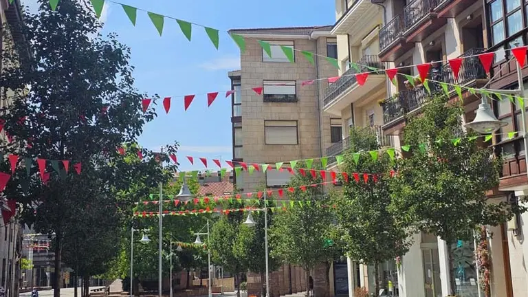 Banderines de La Patrona | Foto: Ayuntamiento