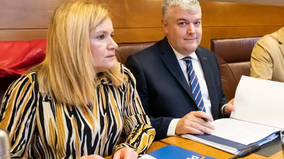 El consejero de Econom&iacute;a, Hacienda, Financiaci&oacute;n Auton&oacute;mica y Fondos Europeos, Luis &Aacute;ngel Ag&uuml;eros, en su comparecencia en comisi&oacute;n parlamentaria | Foto: Gobierno