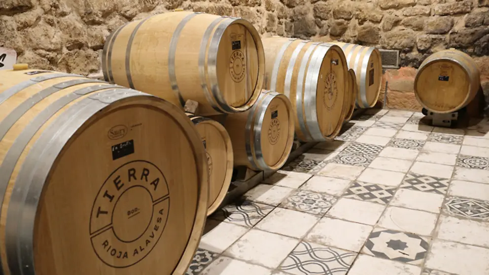 Sala de barricas de Bodegas Tierra