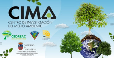 Publicidad 25737